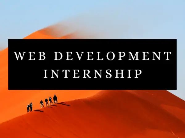 Web development internship